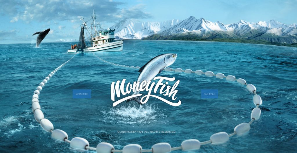 The Motion Bar Money Fish Web Design